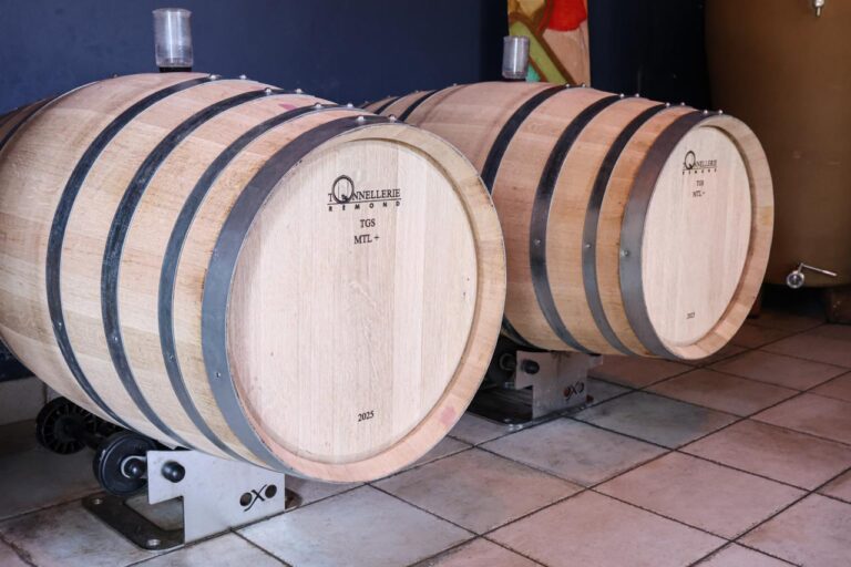 Les 6 au jardin4 768x512