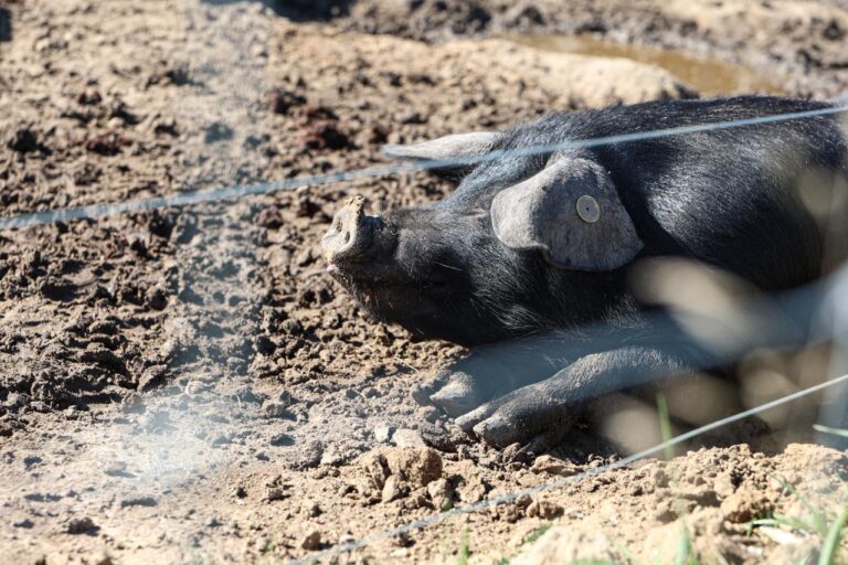 WhatsApp Image 2025 10 22 at 12.57.05 1 768x512