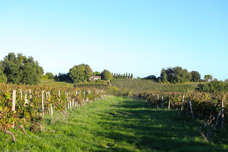 WhatsApp Image 2025 10 22 at 13.03.51 1 768x512