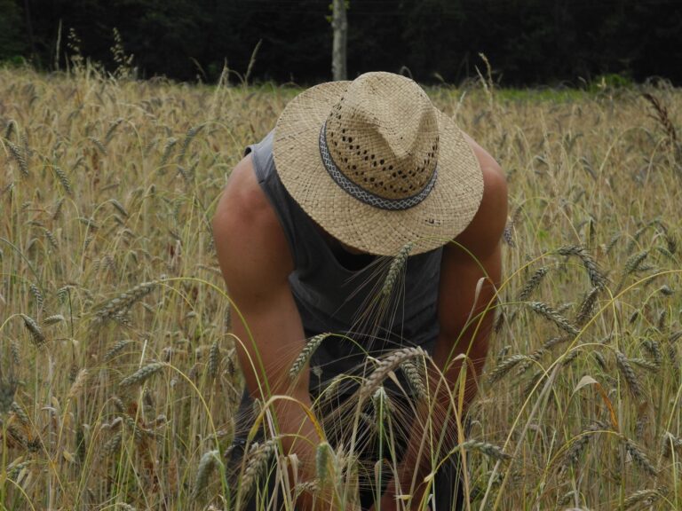 Aurelien compressed 768x576