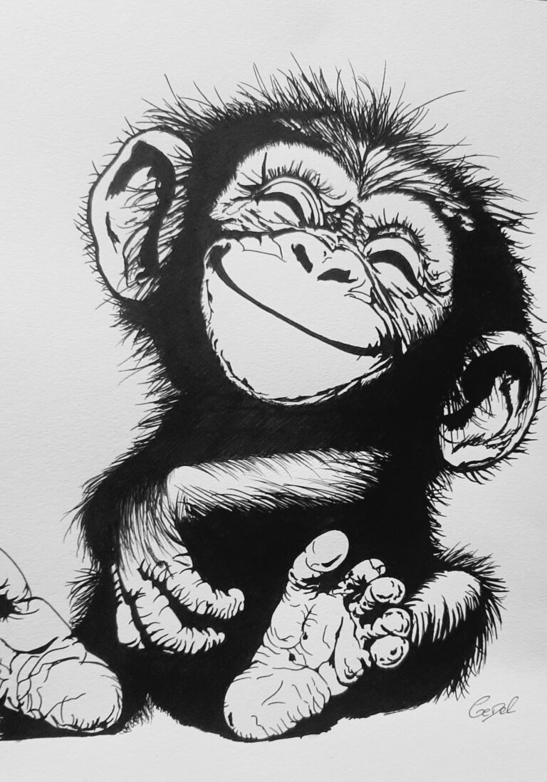 Chimpanze bebe 1 768x1099