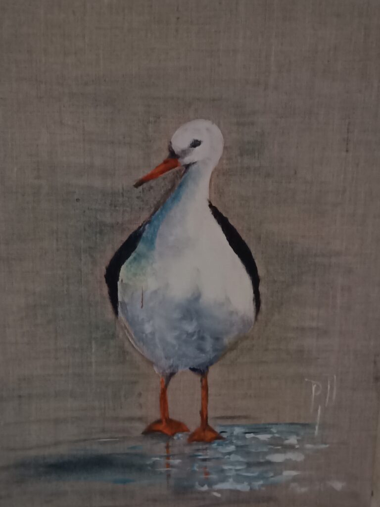 IMG 20251217 144756 768x1024