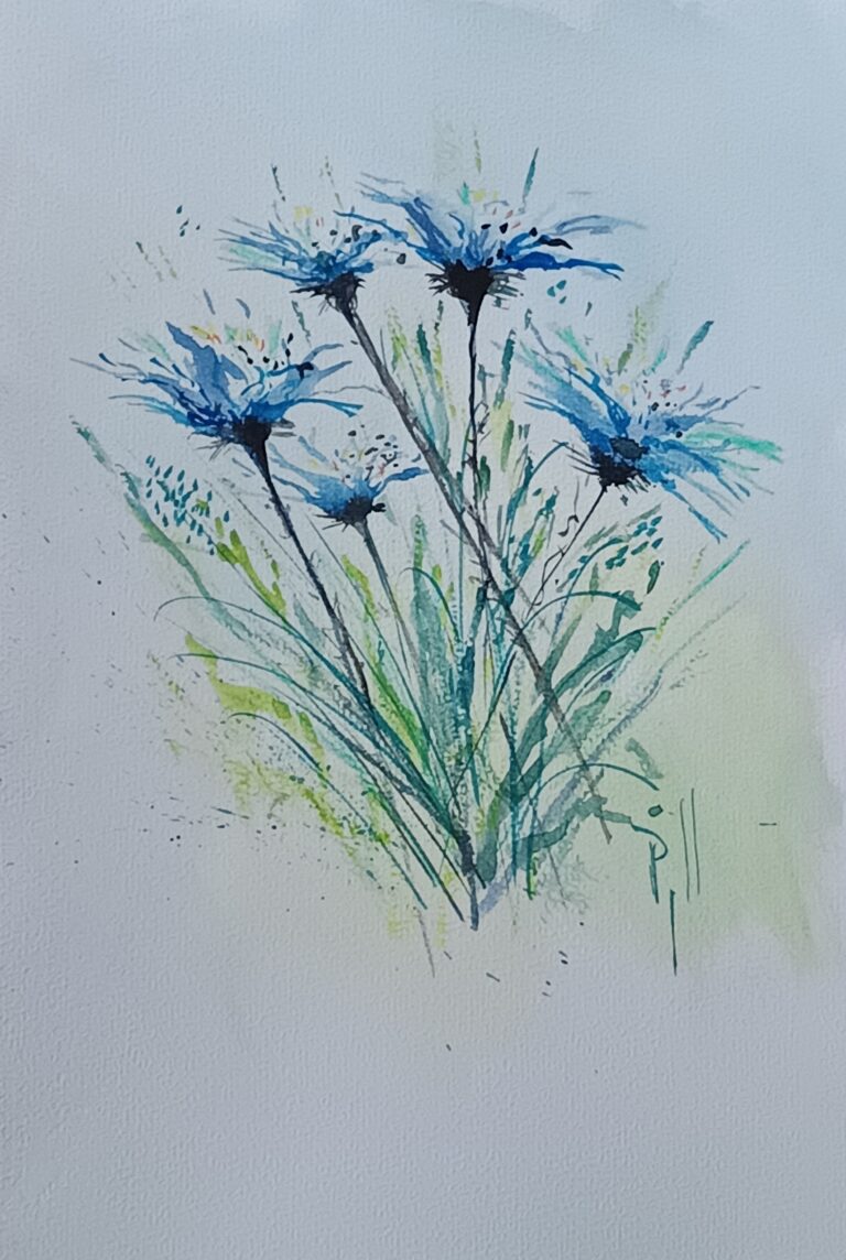 IMG 20251217 145134 768x1144