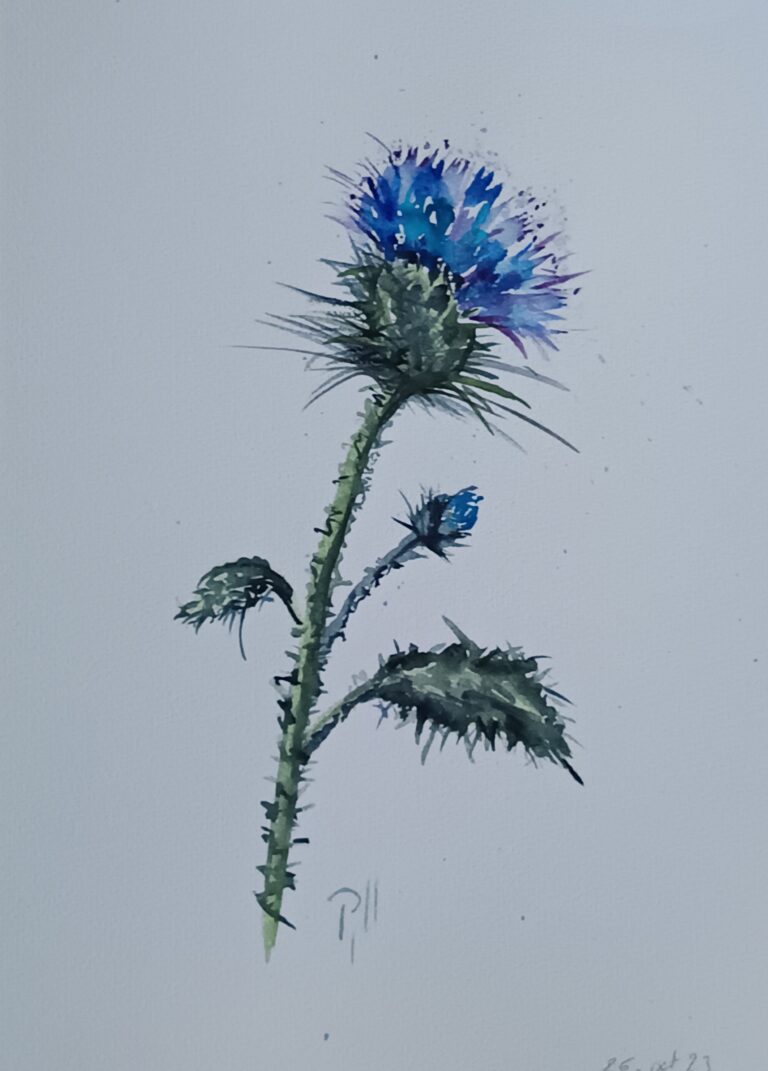 IMG 20251217 145141 768x1071