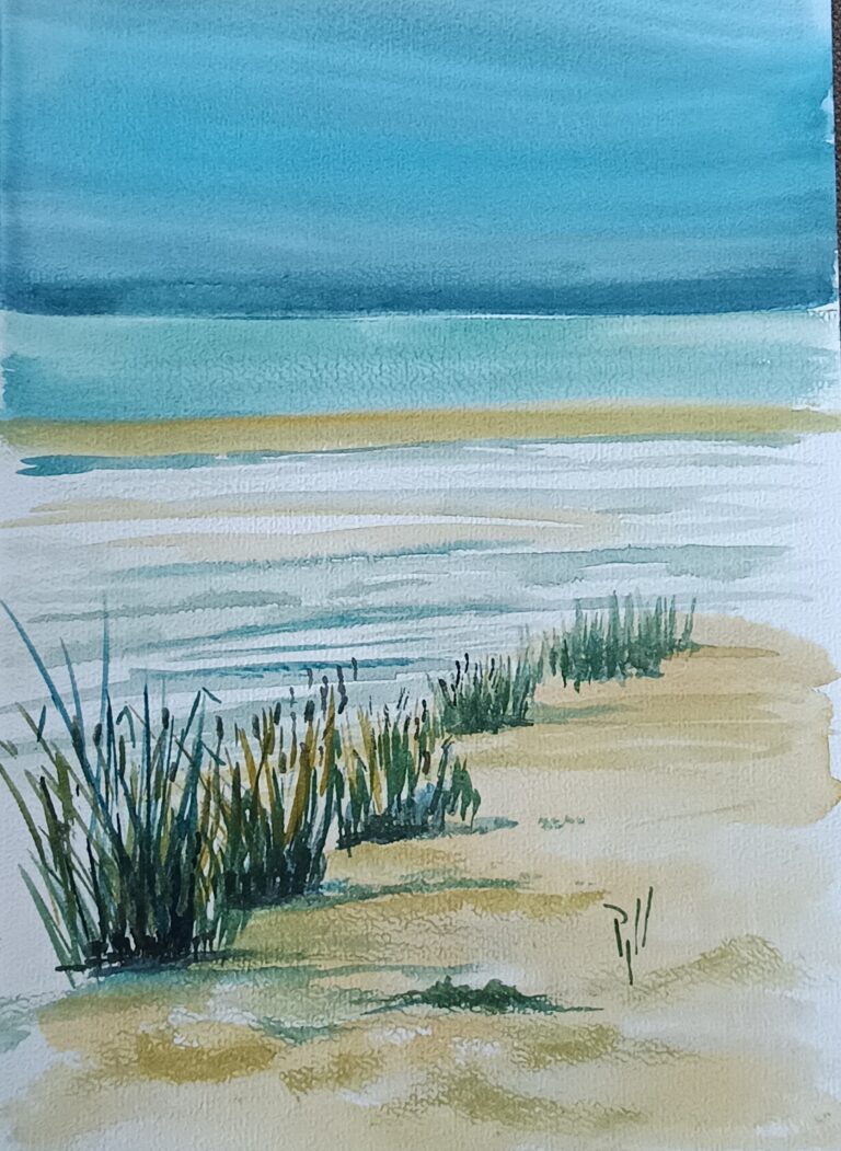 IMG 20251217 145313 768x1051