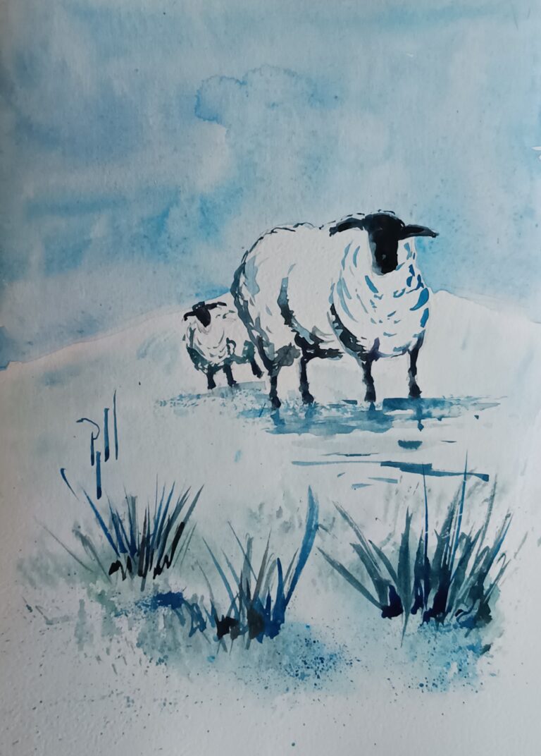 IMG 20251217 145347 768x1072