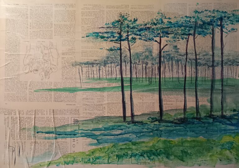 IMG 20251217 163628 768x538