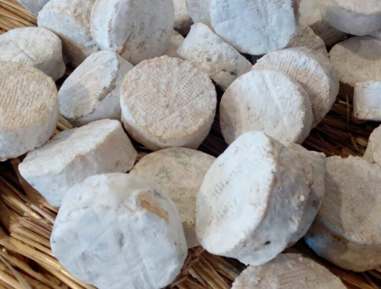 long fromages 1024x779 1 768x584