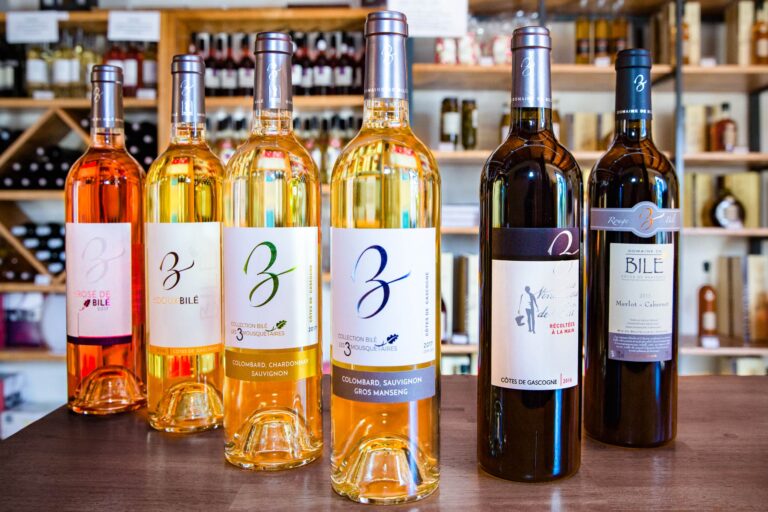 Domaine Bile Armagnac floc vins gascogne 9 768x512