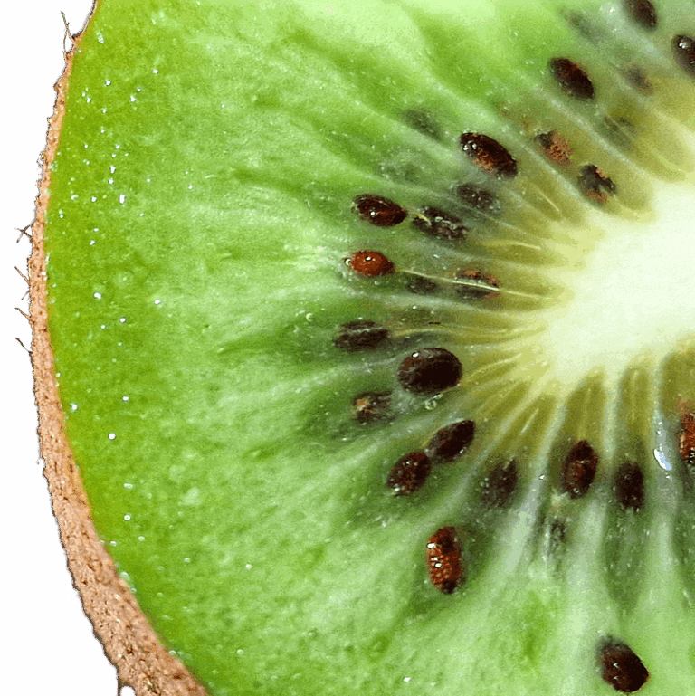 slice kiwi 768x769