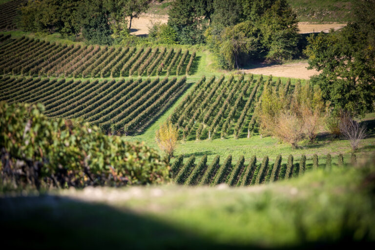 131007CG 96 scaled 1 768x512