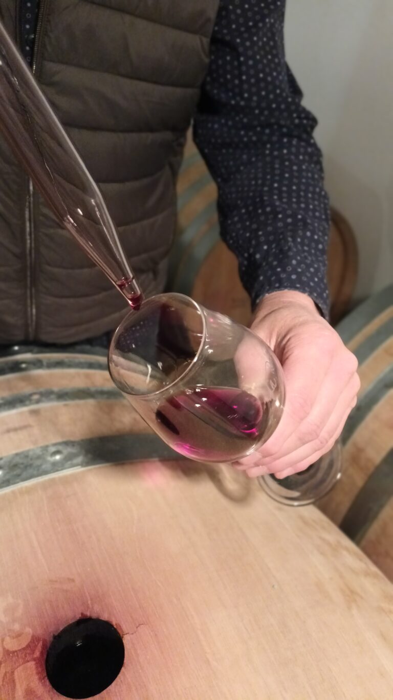 degustation a la barrique 768x1365