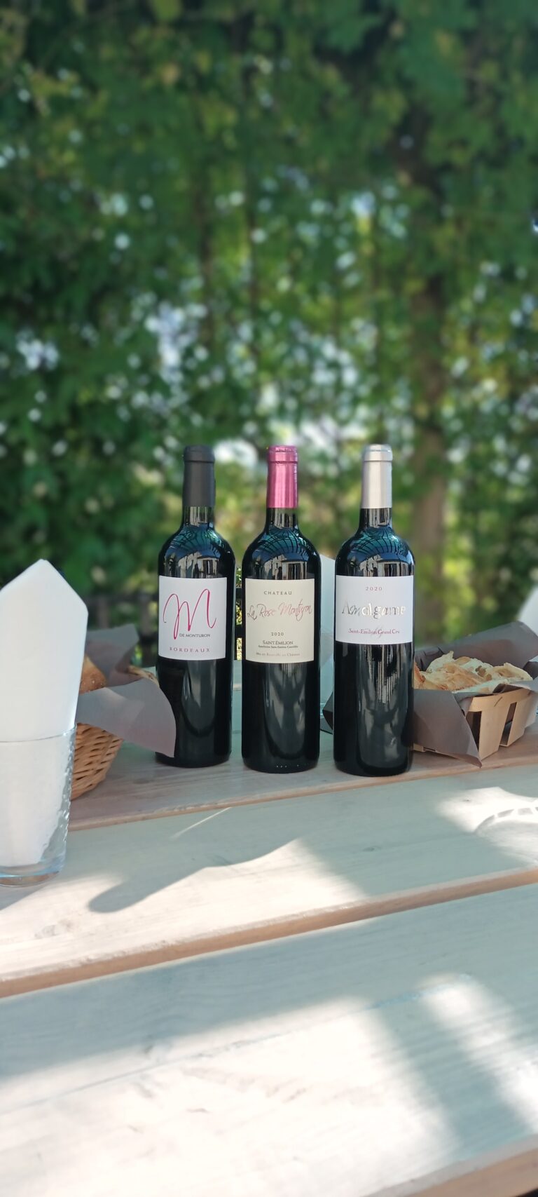 vins Bordeaux Saint Emilion et Saint Emilion Grand Cru 768x1707
