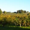 Château Mazeris