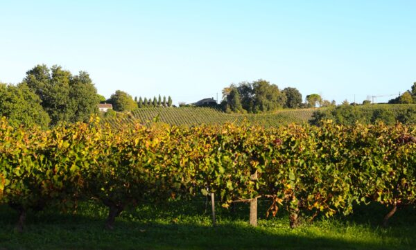 Château Mazeris