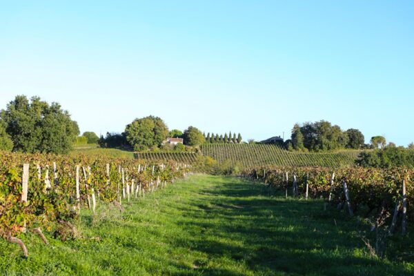 Château Mazeris