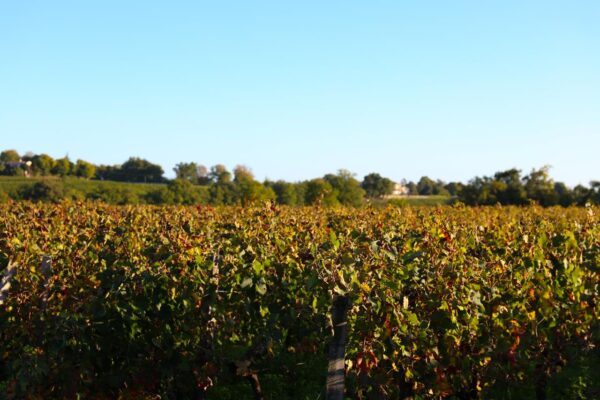 Château Mazeris