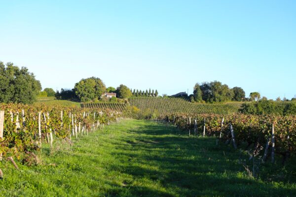 Château Mazeris