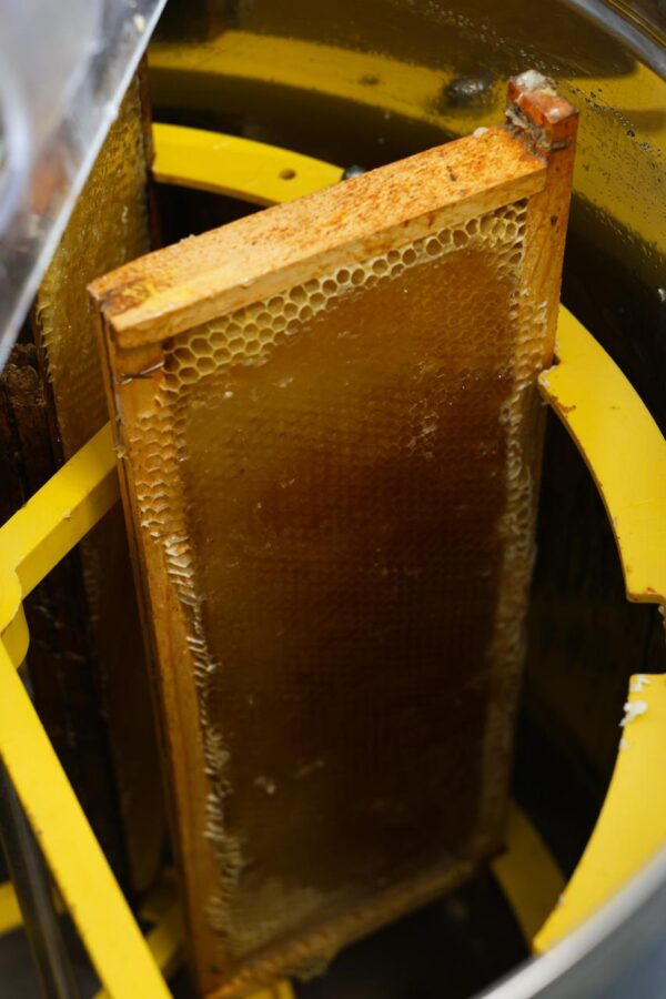 WhatsApp Image 2025-10-23 at 04.52.31 (4) Passe craby
